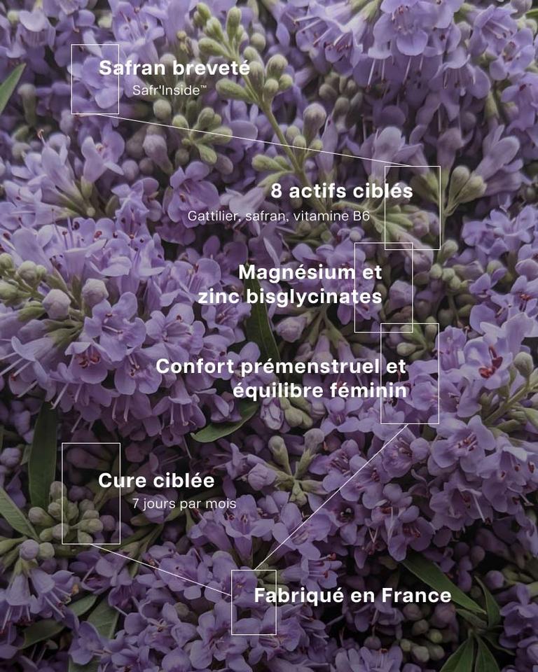 Complexe SPM