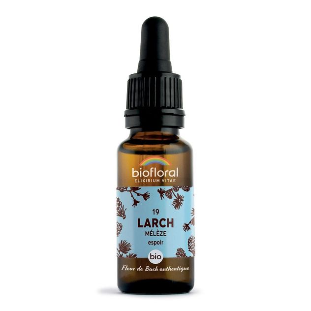 Fleur de Bach Larch N°19 Bio