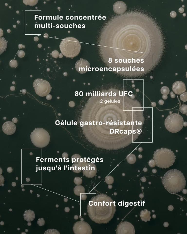 Complexe Probiotiques FloreRepair FLASH
