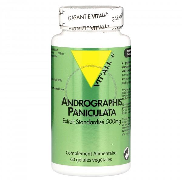 Andrographis 500mg