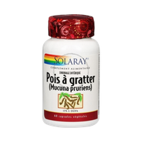 Pois à gratter Mucuna pruriens