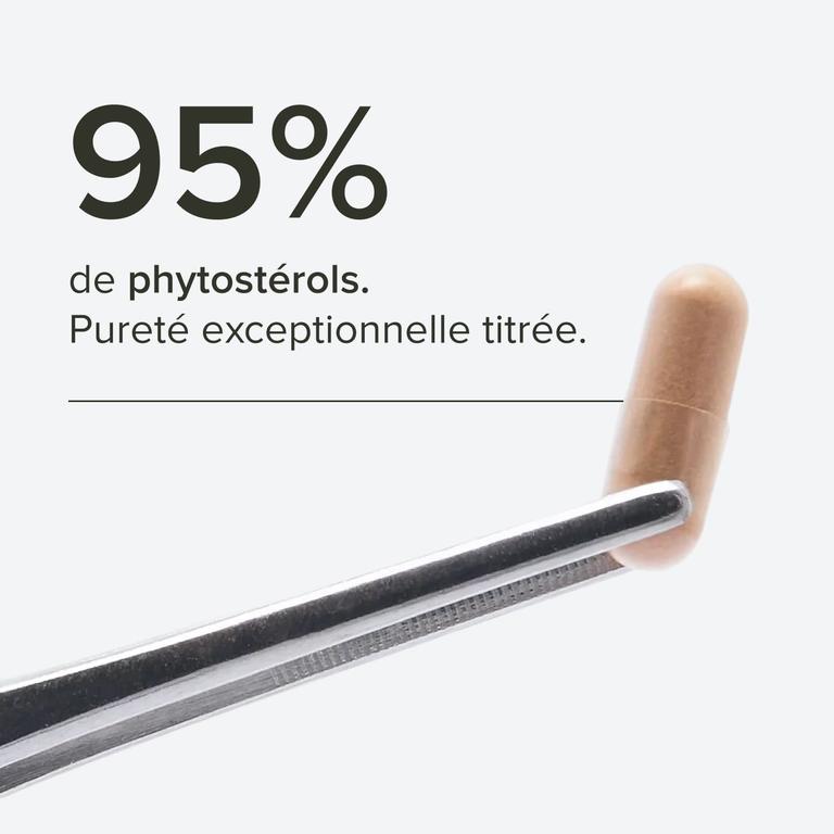 Complexe Cholestérol
