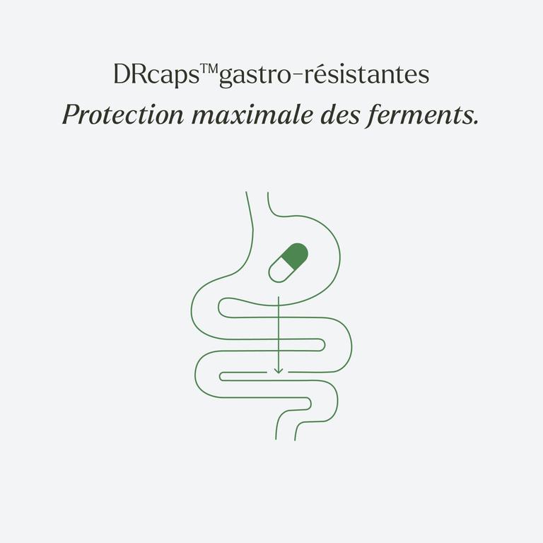 Complexe Probiotiques FloreRepair FLASH