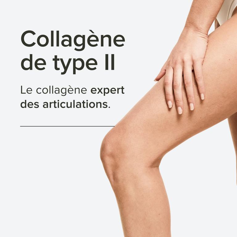 Collagène marin de type II, 1000 mg