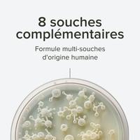 Complexe Probiotiques 8