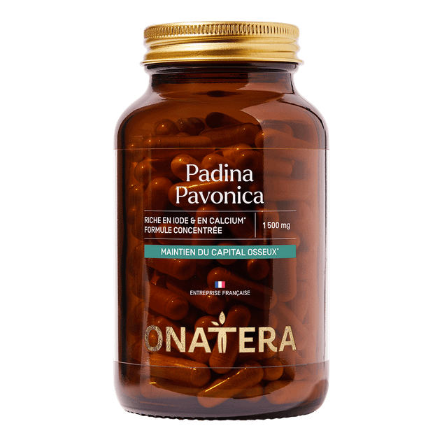Padina Pavonica