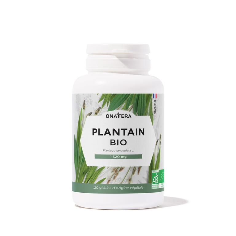 Plantain bio