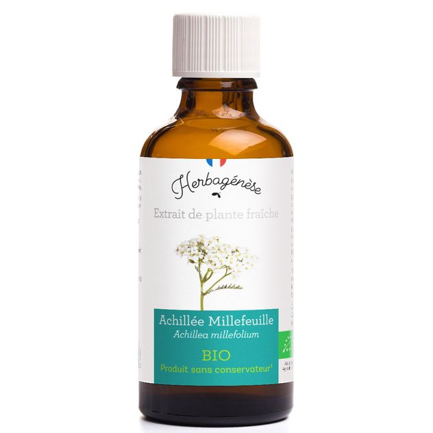 Achillée Millefeuille Bio Extrait de plante fraîche