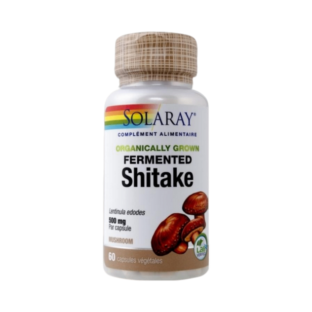 Shitake