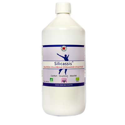 Silicassis Silicium Organique dynamis Bio - 1 L - Vecteur Energy