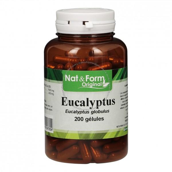 Eucalyptus