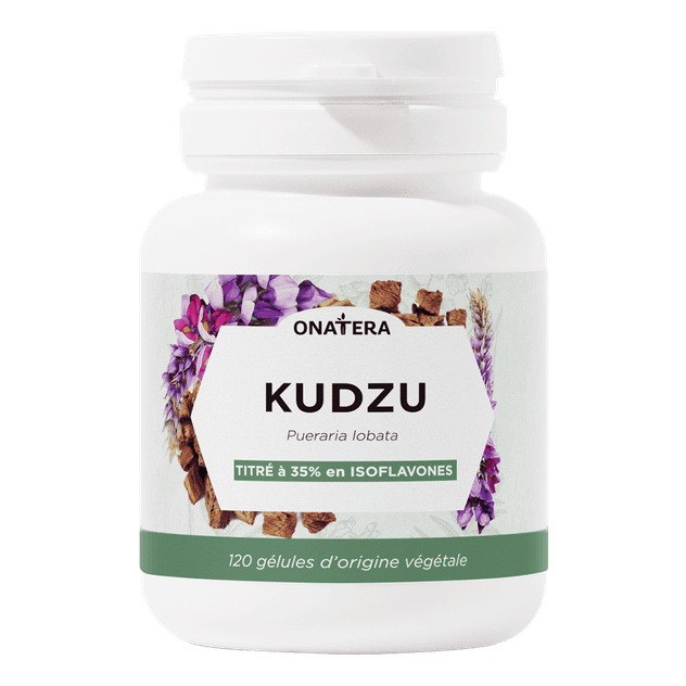 Kudzu