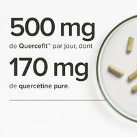 Quercétine Premium