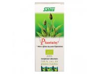 Plantain Suc frais Bio
