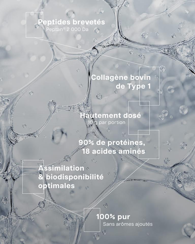 Peptides de collagène Peptan®