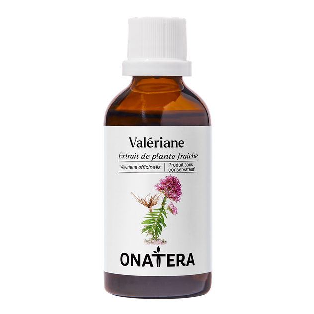 Valériane Bio Extrait de plante fraîche