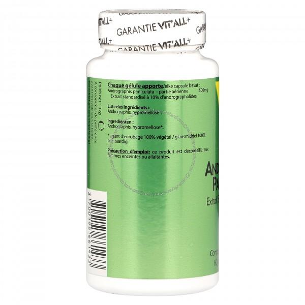 Andrographis 500mg