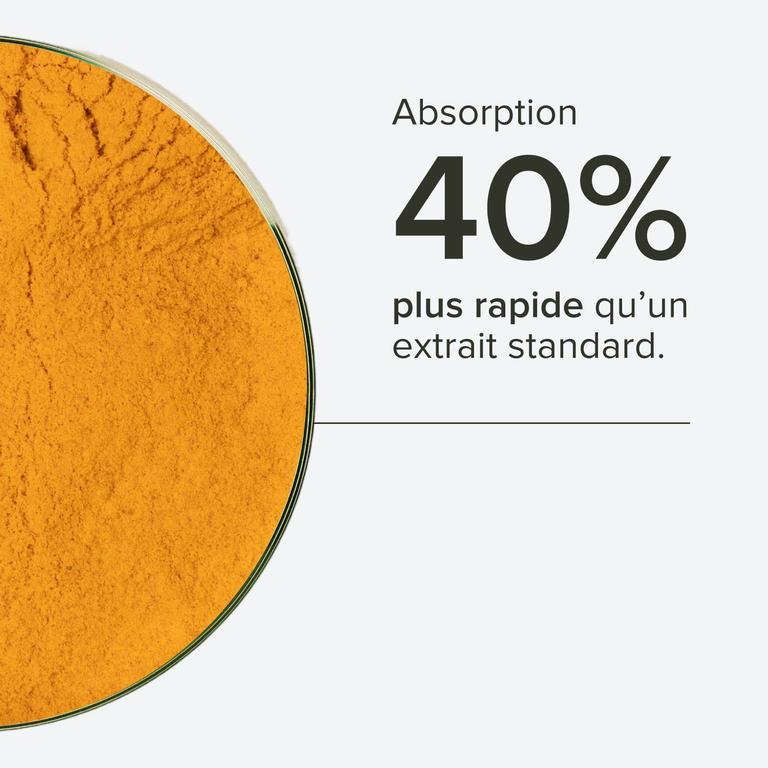 Curcuma Premium