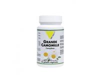 Grande Camomille Complexe