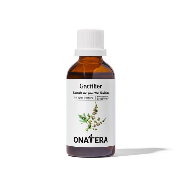 Gattilier Bio Extrait de plante fraîche