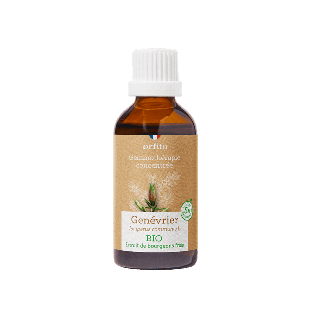Genévrier Bourgeons Bio