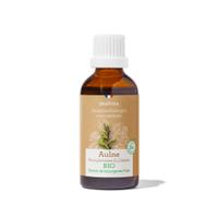 Marronnier d'Inde Bourgeons Bio