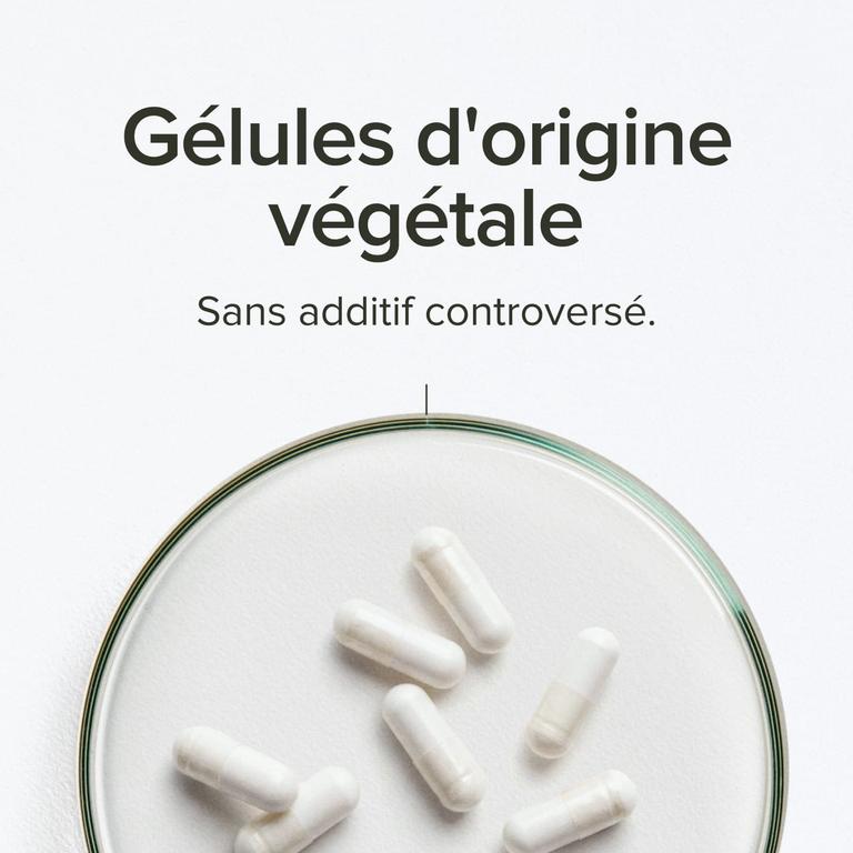 BCAA 2:1:1 vegan