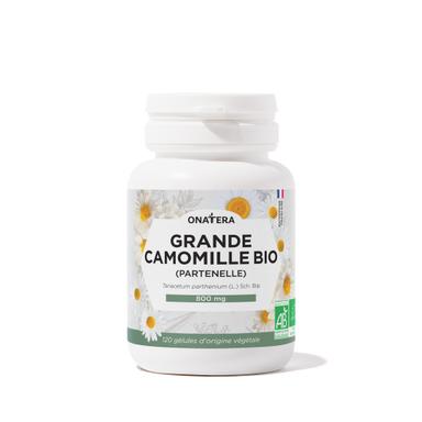 Grande Camomille Bio (Partenelle)