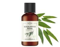 Huile essentielle Eucalyptus radié Bio (radiata)