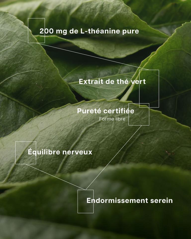 L-théanine 200 mg