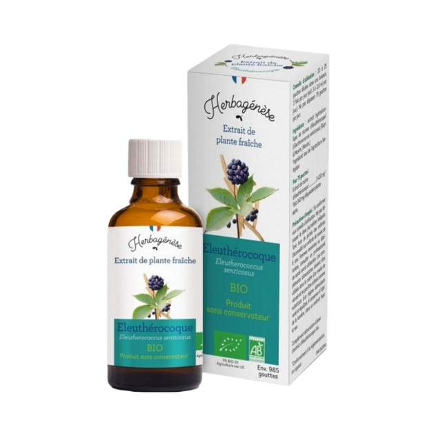 Eleuthérocoque Bio Extrait de plante fraîche
