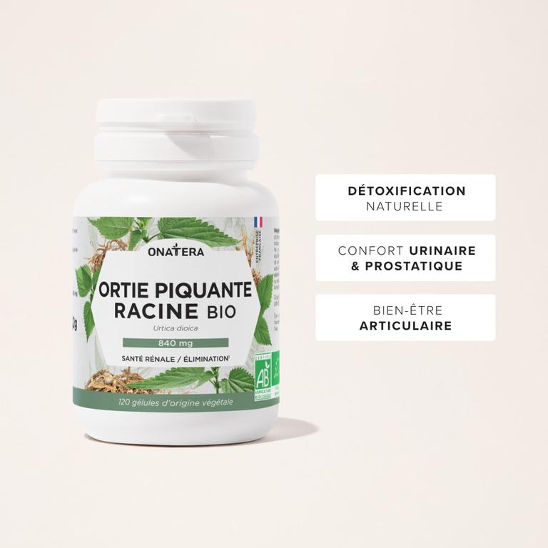 Ortie Piquante Racine Bio