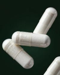 Créatine Creapure 3000