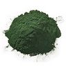 Chlorella
