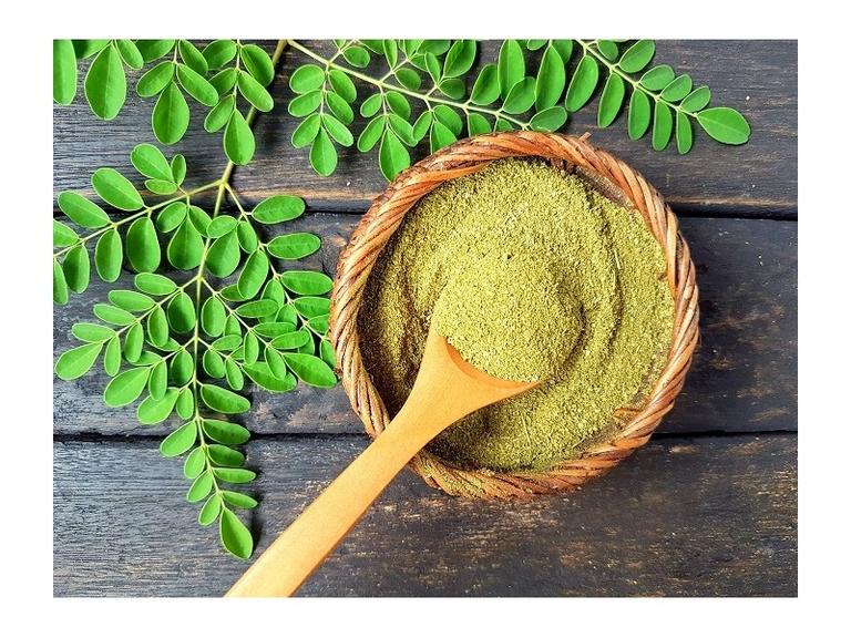 Moringa en poudre Bio