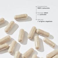 Chitosan