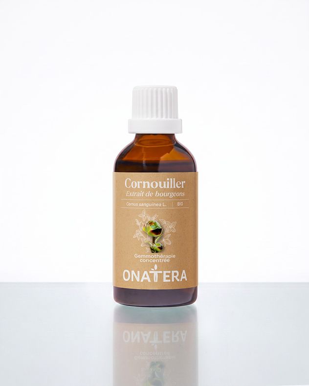 Cornouiller Bourgeons Bio