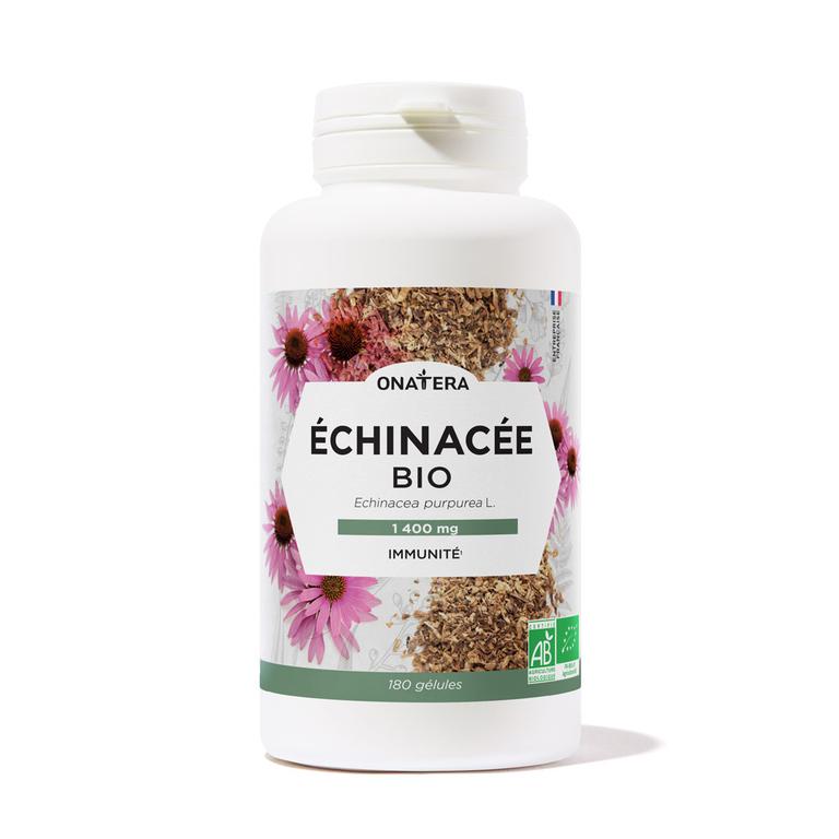 Echinacée Bio