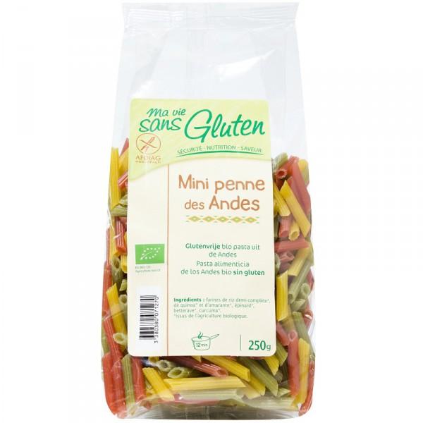 Mini penne des Andes 3 céréales Bio