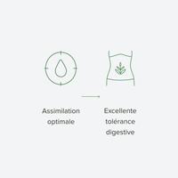Citrate de magnésium 360mg