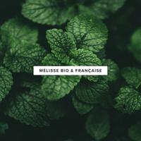 Mélisse Bio