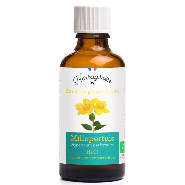 Millepertuis Bio Extrait de plante fraîche