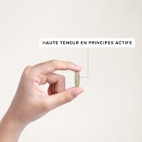 Ortie Piquante Racine Bio