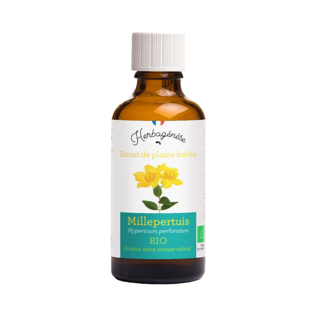Millepertuis Bio Extrait de plante fraîche