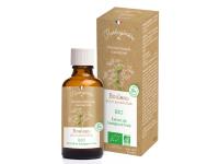Bouleau Bourgeons Bio