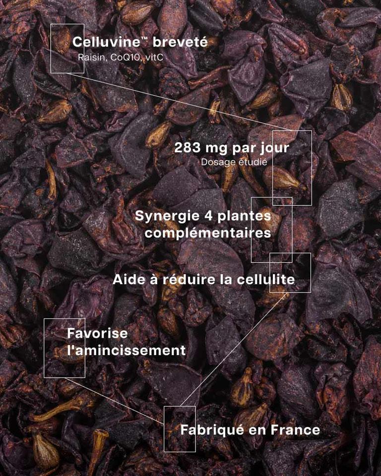 Complexe Anti-Cellulite