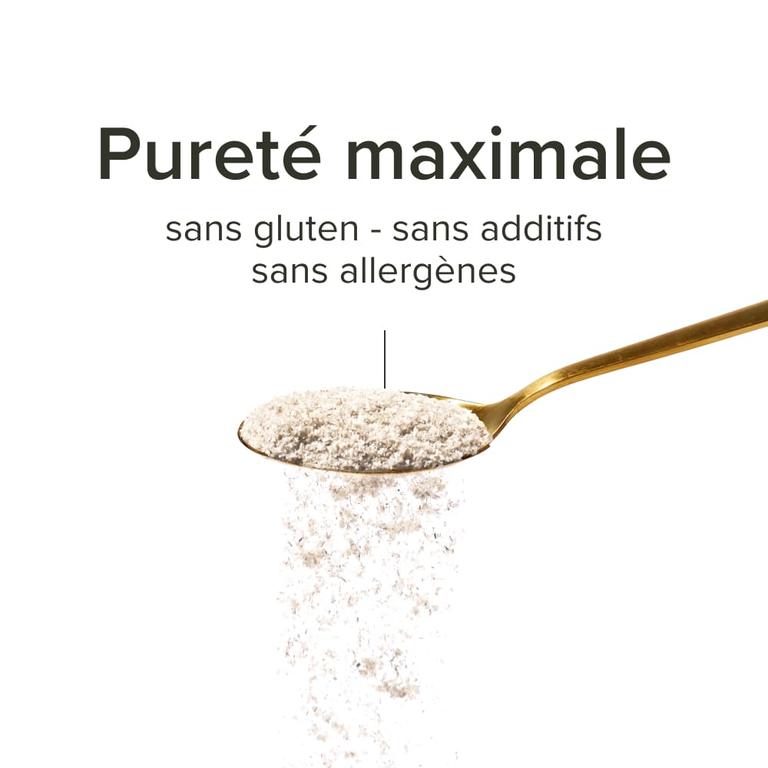 Psyllium blond Bio 1000 mg