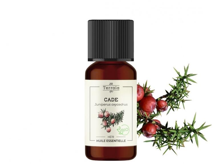 Huile essentielle Cade (bois) Bio