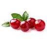 Canneberge (cranberry)