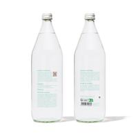 Sève de Bouleau Pure Bio